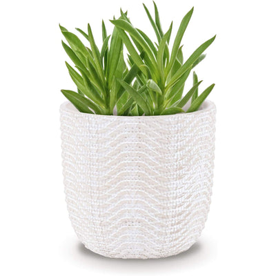 Inspirella 5.3 Inch Timeless Ceramic Round Plant Pot with Drainage (Open Box) - VMInnovations