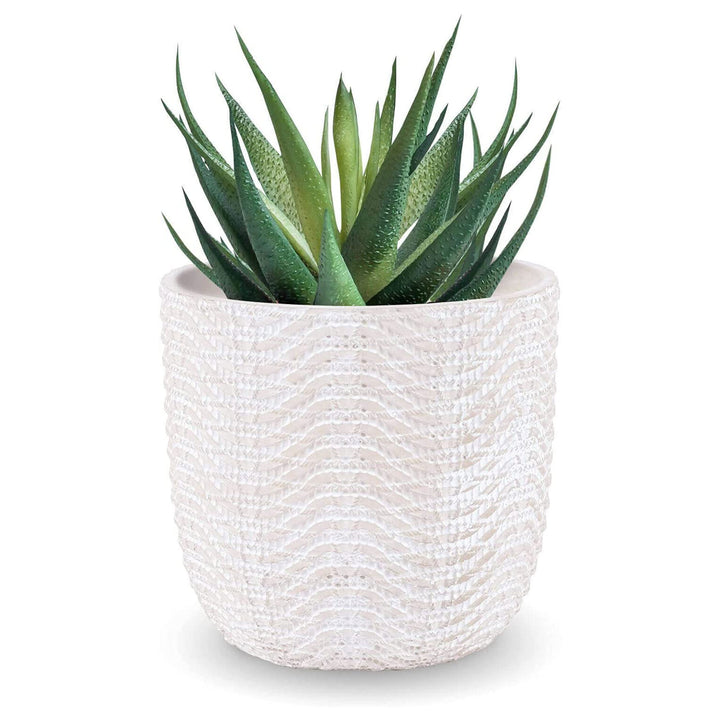 Inspirella 6.5 Inch Timeless Ceramic Succulent Plant Pot w/ Drainage (Open Box)