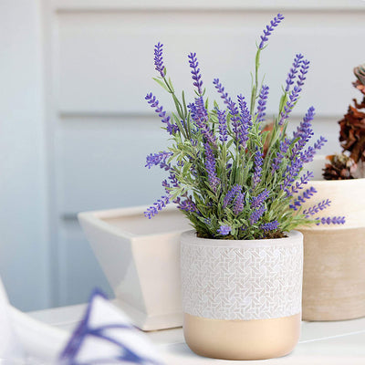 Inspirella Timeless Cement Pot 5.3 inches with Drainage Hole for Indoor/Outdoor