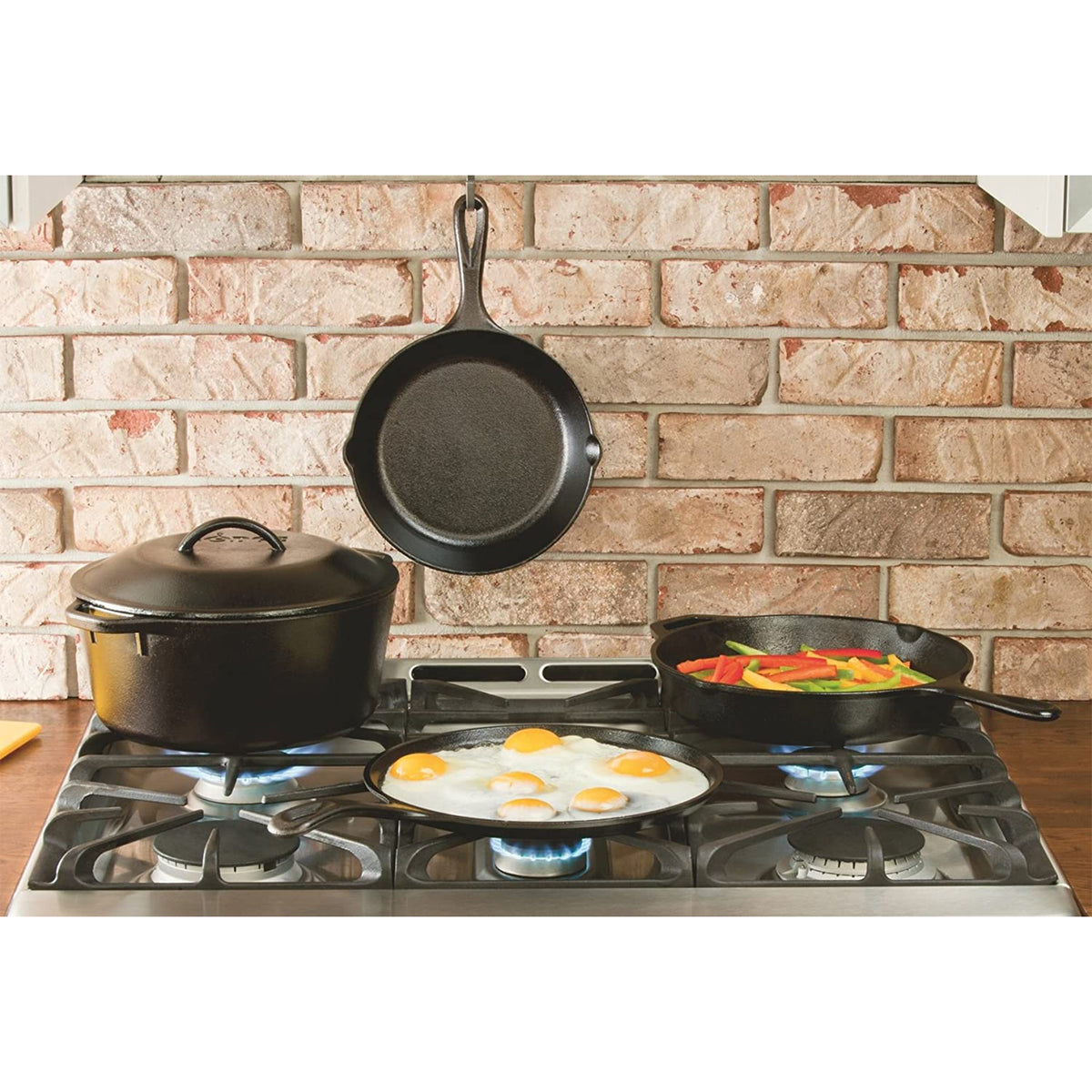 Lodge L6SK3PLT 9 Inch Pre Seasoned Cast Iron Skillet Pan with Assist Handle