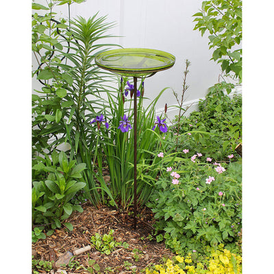 Achla Designs 14 Inch Hand Blown Crackle Glass Birdbath with Stake, Fern Green - VMInnovations