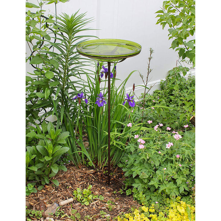 Achla Designs 14 Inch Hand Blown Crackle Glass Birdbath with Stake, Fern Green