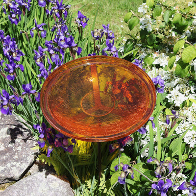 Achla Designs 14 Inch Hand Blown Glass Birdbath with Stake, Mandarin (Open Box) - VMInnovations