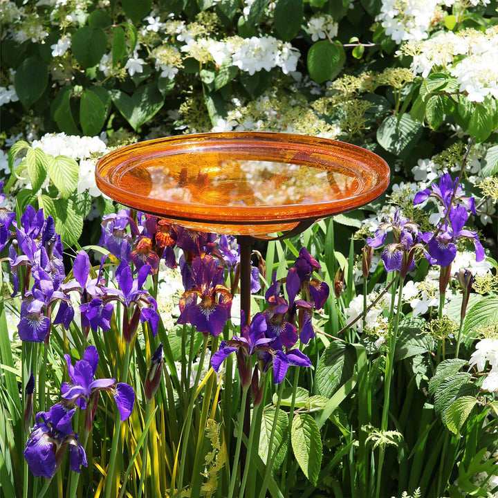 Achla Designs 14 Inch Hand Blown Glass Birdbath with Stake, Mandarin (Open Box)