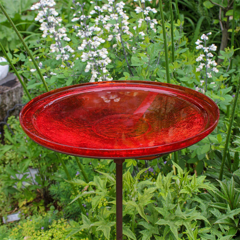 Achla Designs 14 Inch Hand Blown Crackle Glass Birdbath with Metal Stake, Red