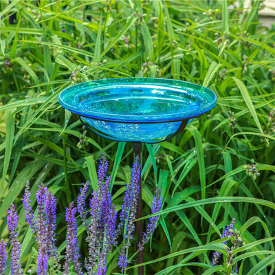 Achla Designs 12 Inch Hand Blown Crackle Glass Birdbath with Stake, Turquoise
