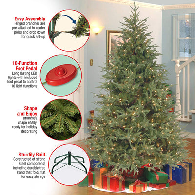 National Tree Company Jersey Frasier Fir 7.5' Dual Color Prelit Christmas Tree