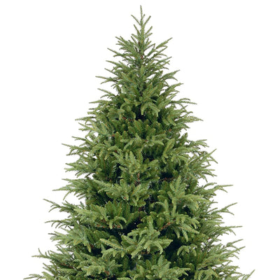 National Tree Company Frasier Grande Fir 7 Foot Unlit Christmas Tree (Used)