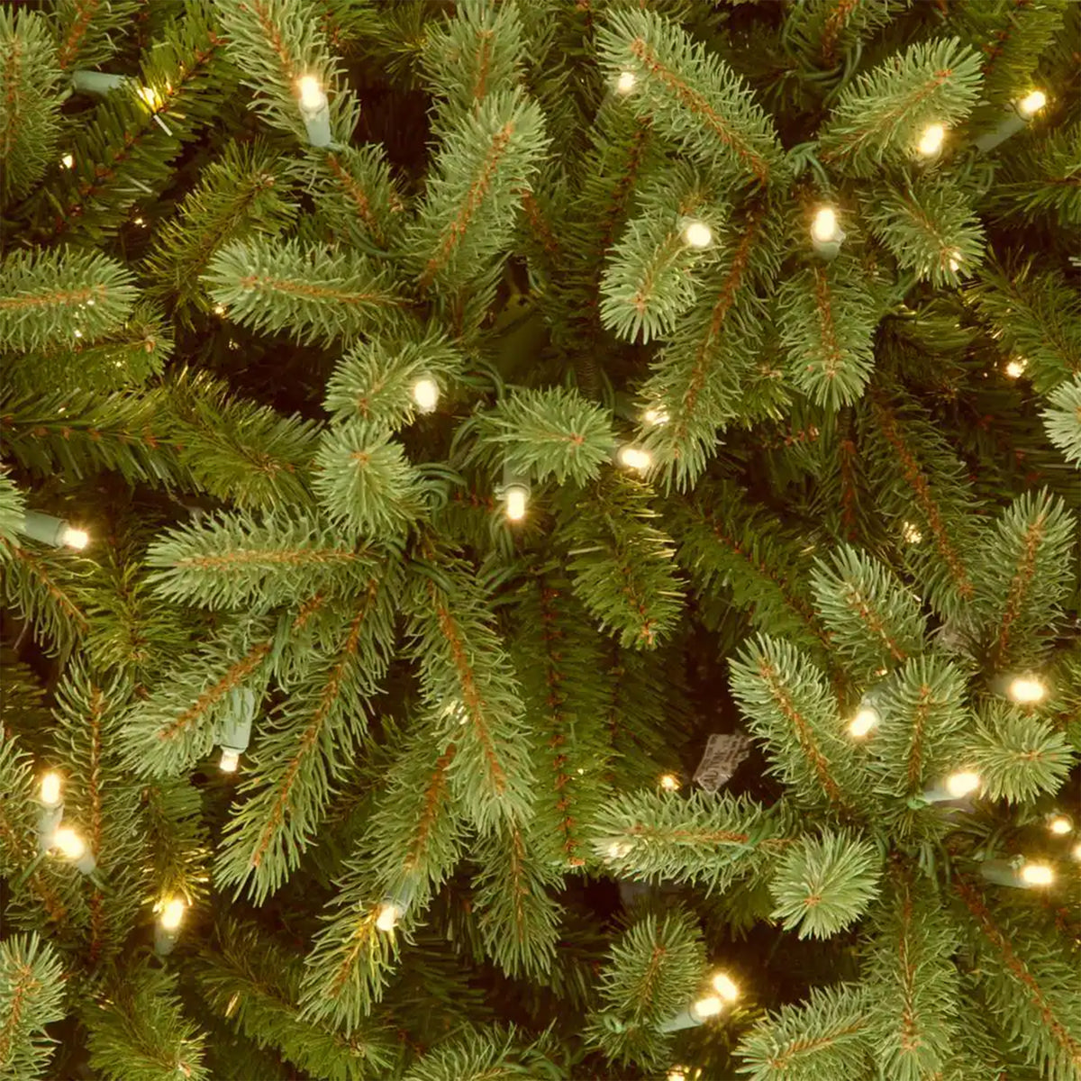 National Tree Company Jersey Frasier Fir 7.5' Clear White Prelit Christmas Tree