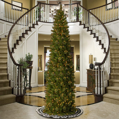 National Tree Company Tacoma Pine 12 Foot Prelit Slim Artificial Christmas Tree