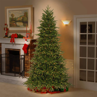 National Tree Company Feel Real Northern Fraser Fir 7.5' Prelit Christmas Tree