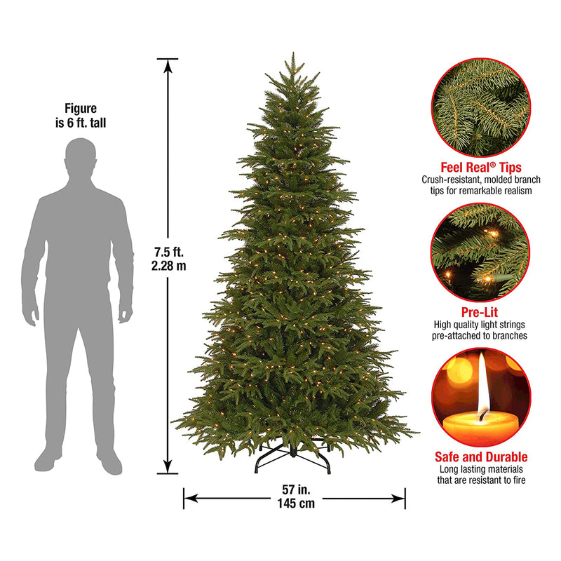 National Tree Company Feel Real Northern Fraser Fir 7.5&