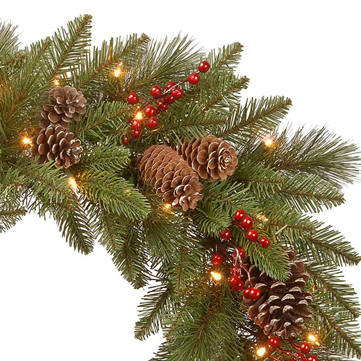 National Tree Company Bristle Berry Pine 24" Prelit Christmas Wreath, LEDs(Used)