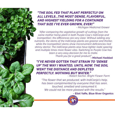 Purple Cow Organics IndiCanja Organic Indoor Living Plant Based Compost Soil (4 Pack)
