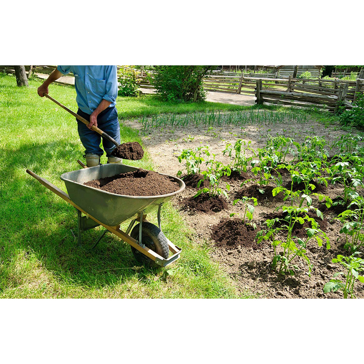 Purple Cow Organics Tomato Gro All Natural Activated Compost Plant Food (2 Pack)
