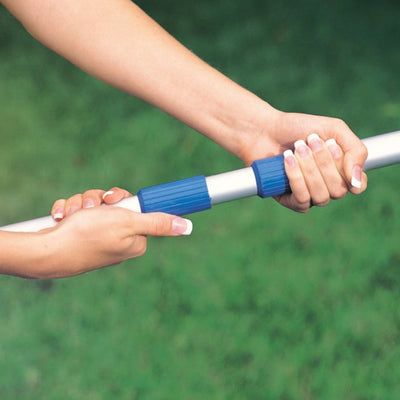 Wall Whale Classic 18 Inch Pool Wall Cleaning Brush + 94 Inch Telescoping Pole