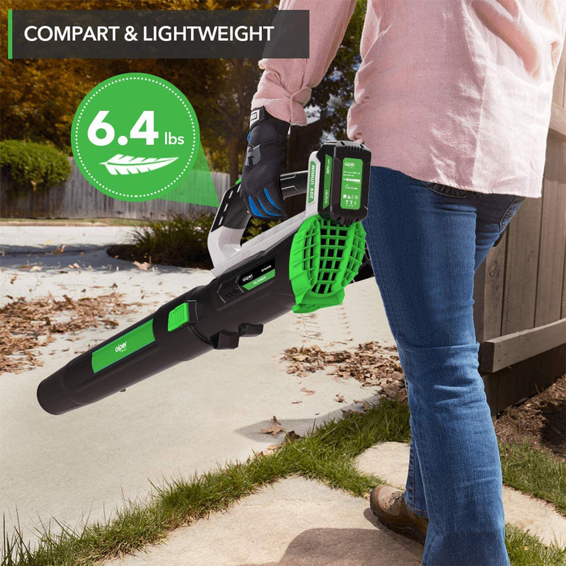 Aiper Smart Cordless Leaf Blower w/ 2 Quick Charge Lithium Batteries (Open Box)