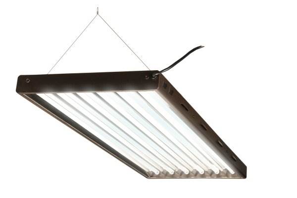 Agrobrite Designer T5 324W 4 Foot 6-Tube Grow Light Fixture with Bulbs (Used)