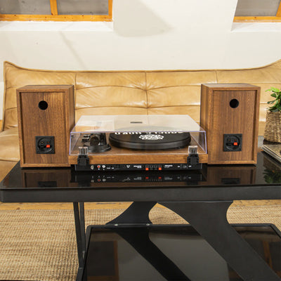 Angels Horn Vinyl Record Player w/ Speakers & Phono Preamp (For Parts) - VMInnovations