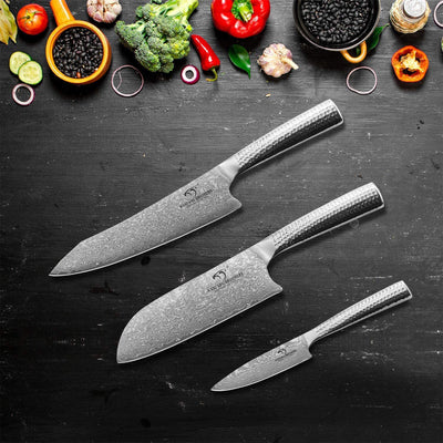 Nanfang Brothers Damascus Kitchen Knife Set with Manchurian Ash Block (Used) - VMInnovations