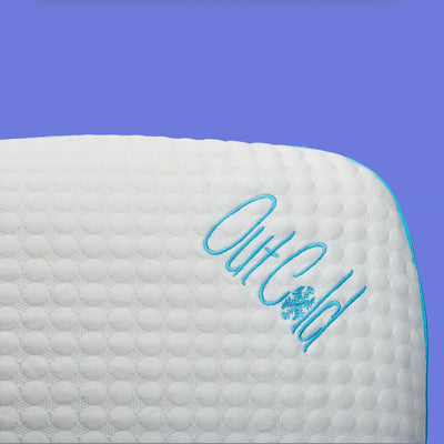 Traditional Comfort Low Profile Memory Foam Sleep Pillow, King (Used) - VMInnovations