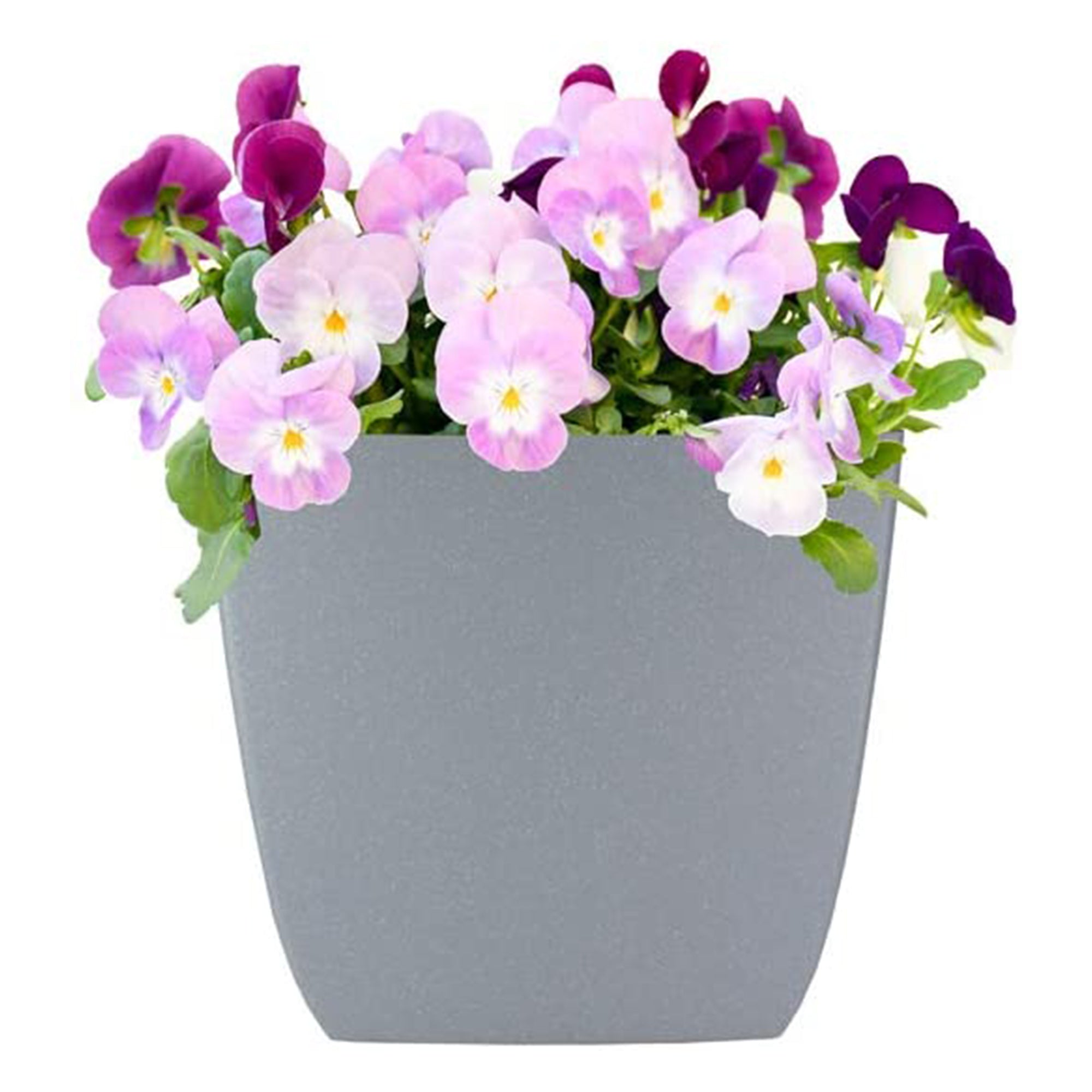 The HC Companies Santa Fe 12 Inch Square Self-Watering Planter, Pebble Gray