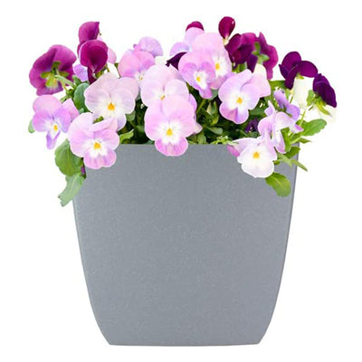 The HC Companies Santa Fe 12 Inch Square Self-Watering Planter, Pebble Gray