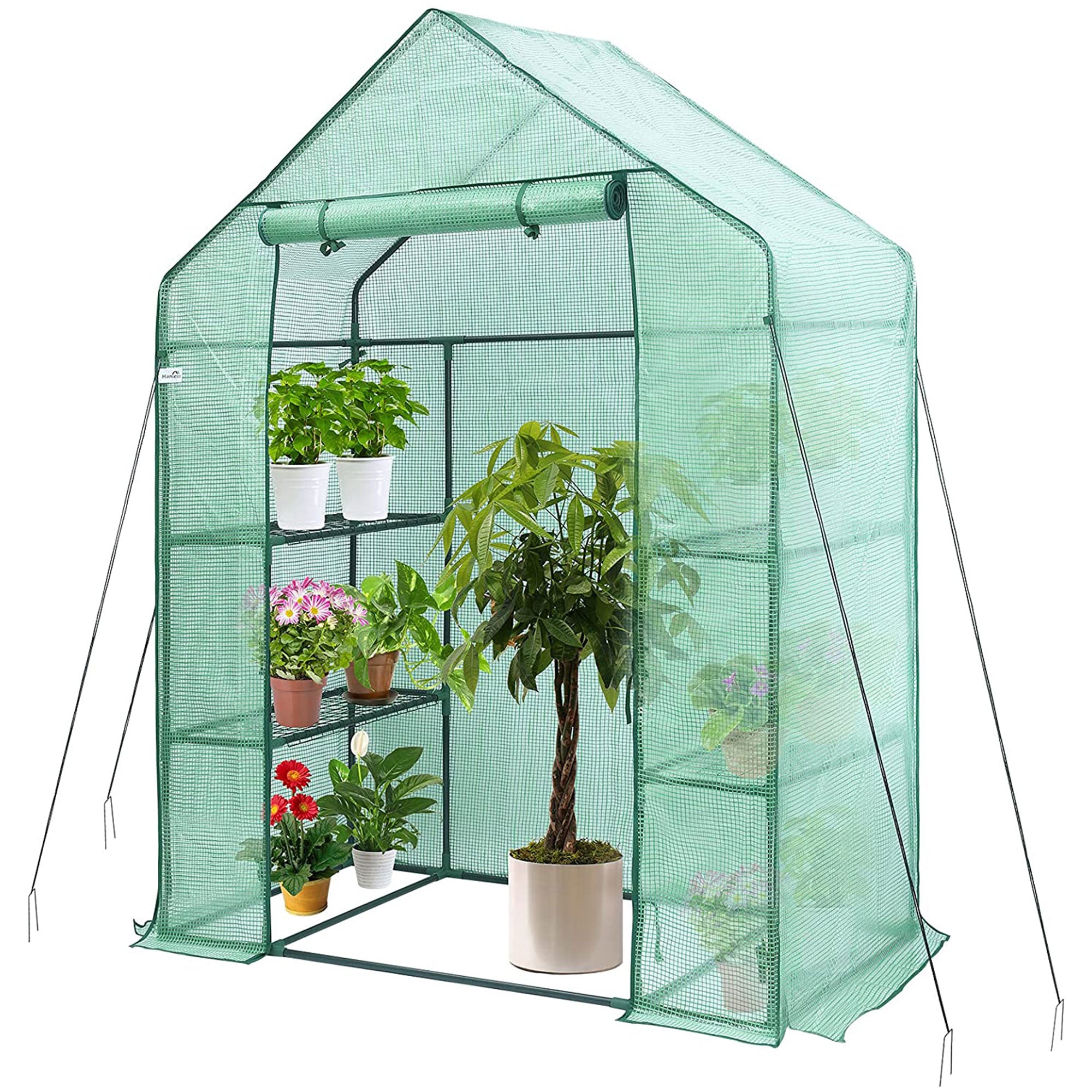 Hanience Walk-in Outdoor/Indoor Covered Plant Greenhouse with 4 Wired Shelves - VMInnovations