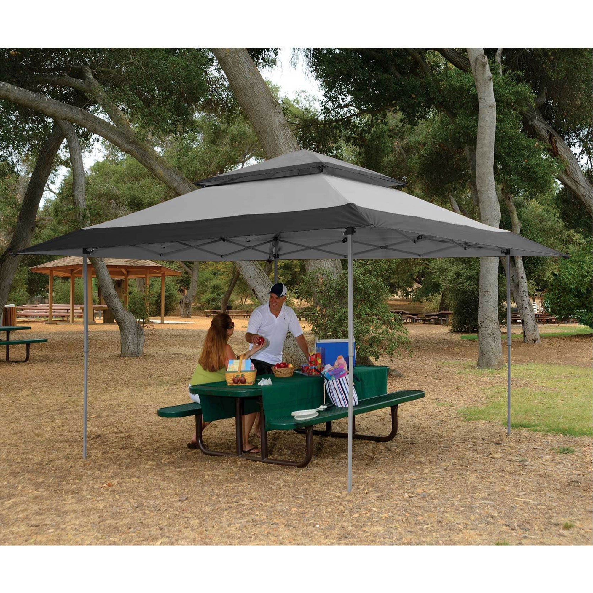 Z-Shade 13 x 13 Foot Instant Gazebo Canopy, Gray & 5 Pound Leg Weight, Set of 4