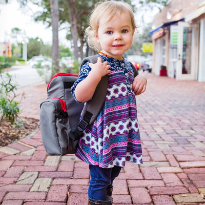 Cozy Cover 3 in 1 Portable Baby Booster Seat Diaper Backpack Bag, Red & Gray