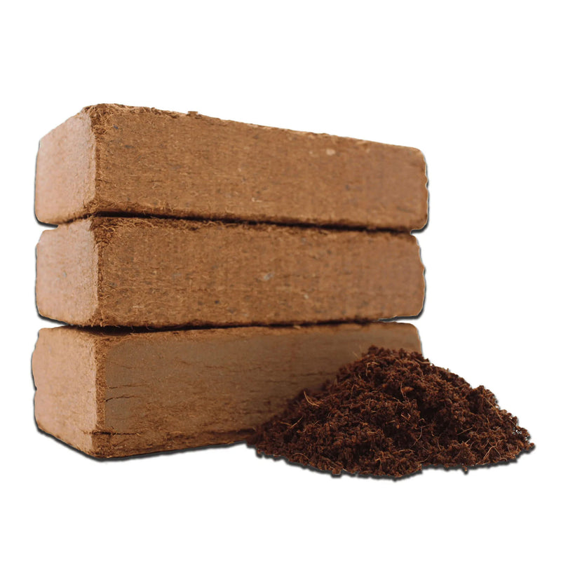 Plantonix Coco Bliss Organic Coir Pith, 650GM Bricks (50 Pack) (Open Box)