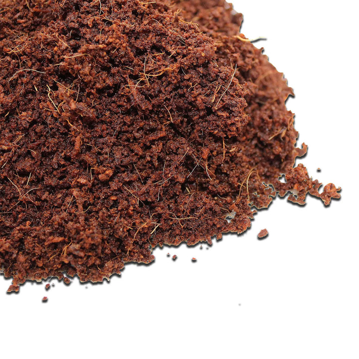 Plantonix Coco Bliss Premium Organic Coconut Coir Pith, 650GM Bricks (20 Pack)