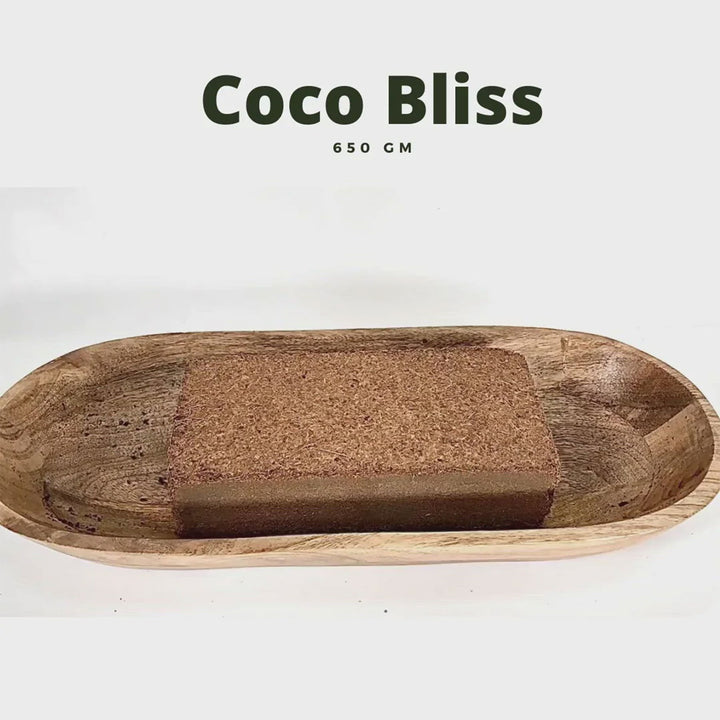 Plantonix Coco Bliss Premium Organic Coconut Coir Pith, 650GM Bricks (20 Pack)