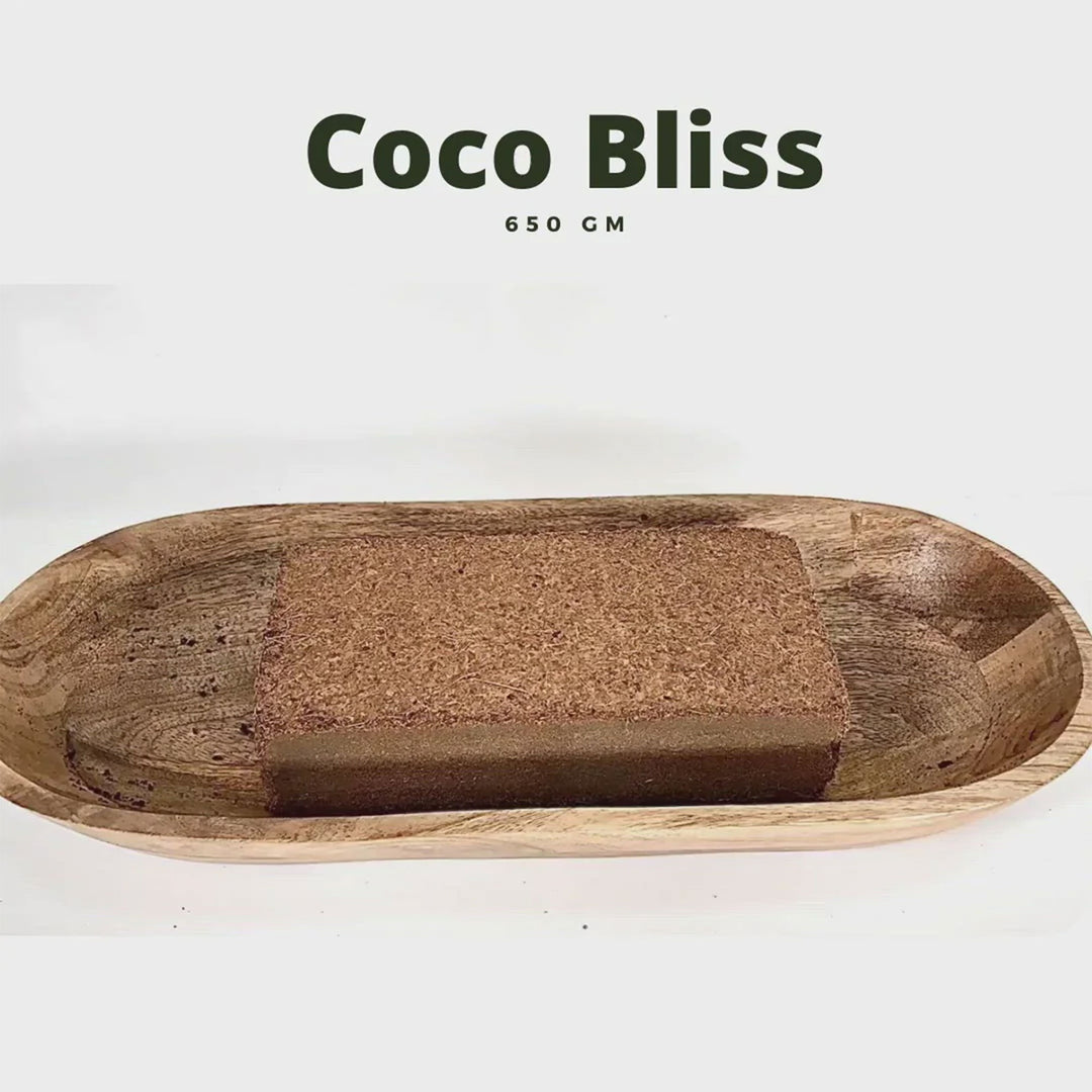 Plantonix Coco Bliss Premium Organic Coconut Coir Pith, 650GM Bricks (20 Pack)