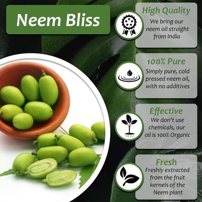 Plantonix Neem Bliss Premium 100 Percent Pure Cold Pressed Seed Oil, 1 Gallon
