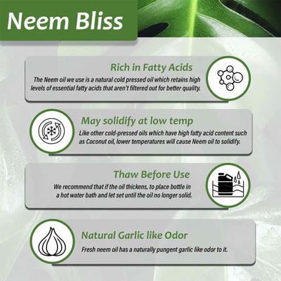Plantonix Neem Bliss Premium 100 Percent Pure Cold Pressed Seed Oil, 1 Gallon