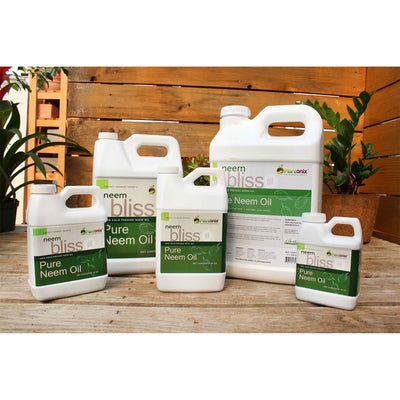 Plantonix Neem Bliss Premium 100 Percent Pure Cold Pressed Seed Oil, 1 Gallon