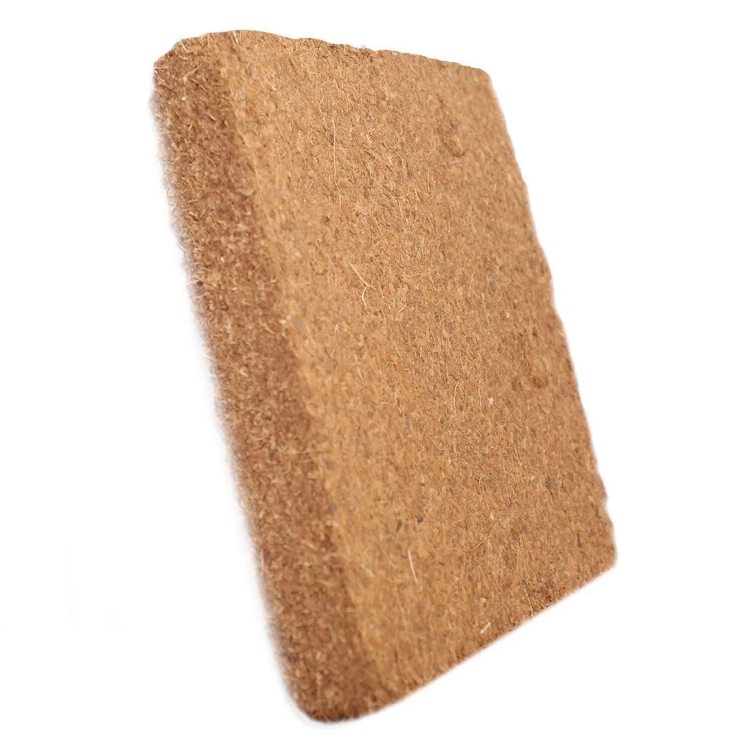 Plantonix Coco Bliss Premium Organic Coconut Coir Pith, 250GM Bricks (Open Box)