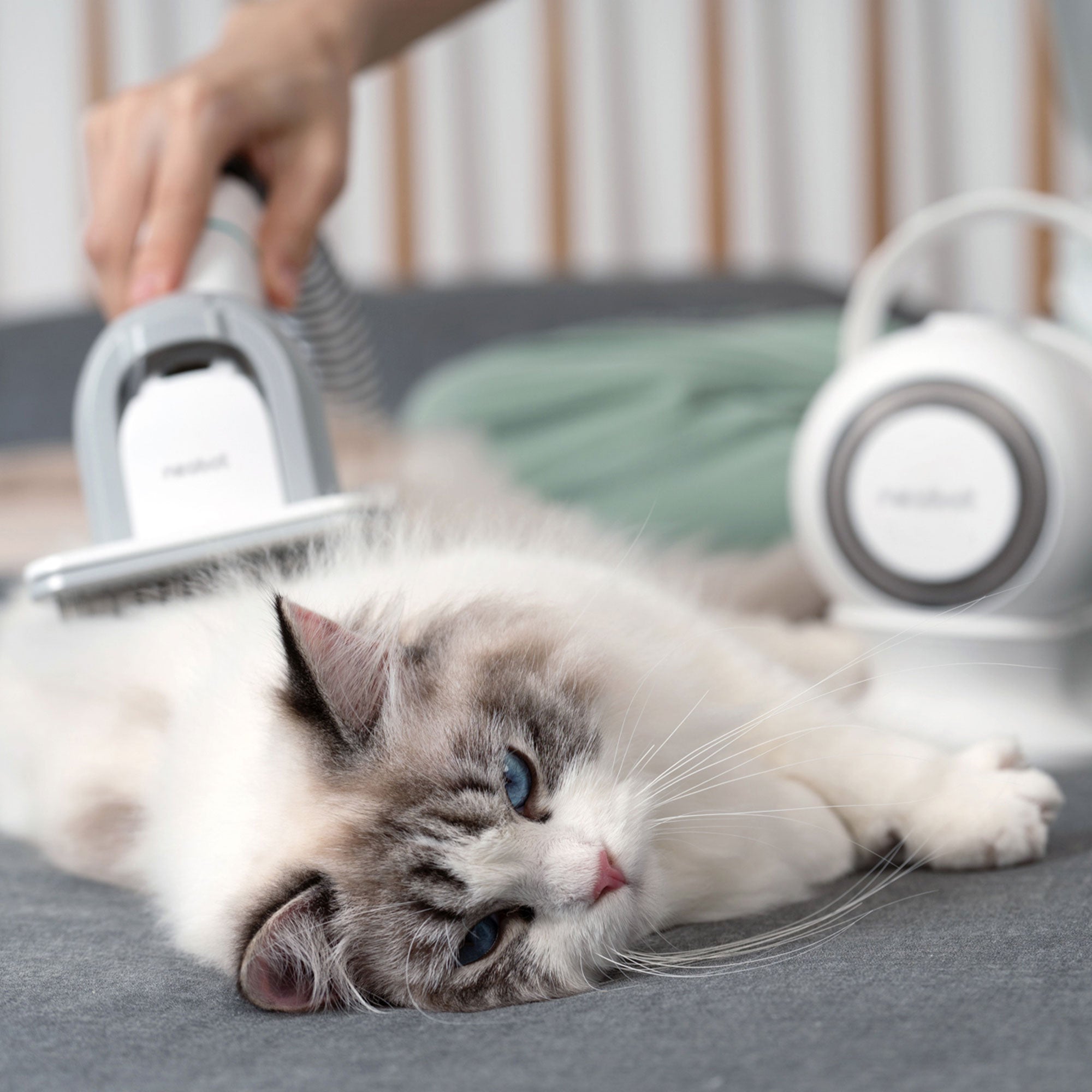 Neabot Professional Pet Grooming Kit w/ Vacuum Suction for Dogs & Cats(Open Box) - VMInnovations
