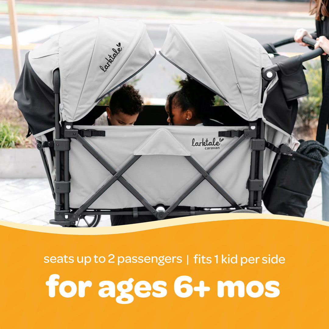 Larktale Caravan V3 Stroller, 2-Seater Kids Wagon, 207 lb Capacity, Avalon Gray