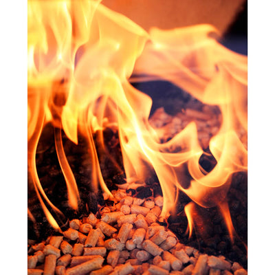 Green Mountain Grills Fruitwood Pure Hardwood Grilling Cooking Pellets (Used)