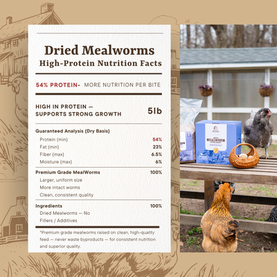 Dried Mealworms for Chickens – High Protein Chicken Treats for Egg Production & Flock Health – Bulk Mealworms for Ducks, Wild Birds, Reptiles & Backyard Poultry Feed, 5lb