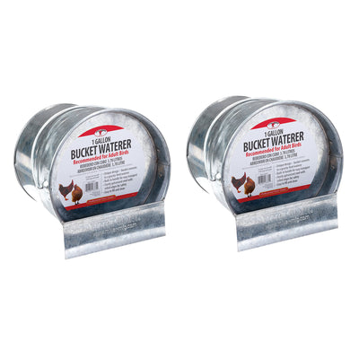 Little Giant 1-Gallon Steel Poultry Bucket Waterer w/ Built-In Handle (2 Pack) - VMInnovations