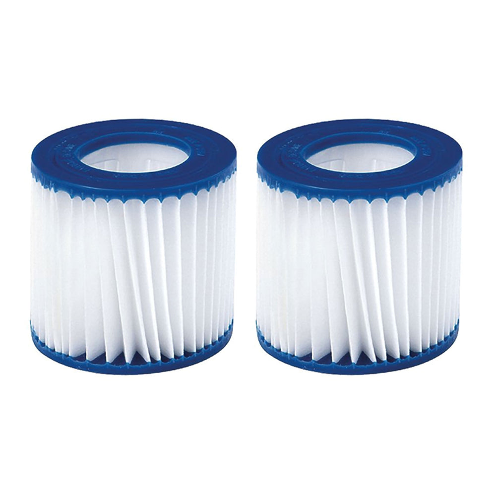 JLeisure Avenli 29P481 CleanPlus Filter Cartridge Replacement Part (2 Pack)