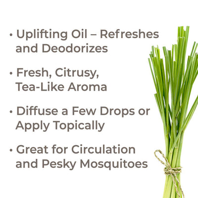 Plant Therapy Diffusible 100mL Essential Oil, 3.3oz, Organic Lemongrass (3 Pack) - VMInnovations