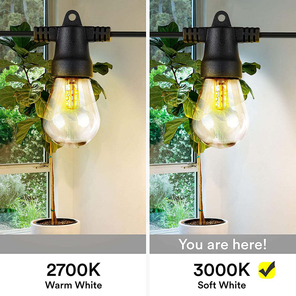 Brightech Ambience Pro Solar Power LED Edison Bulb Outdoor String Lights, 27 Ft