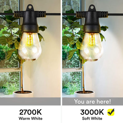 Brightech Ambience Pro Solar Power LED Edison Bulb String Lights, 27 Ft (2 Pack)
