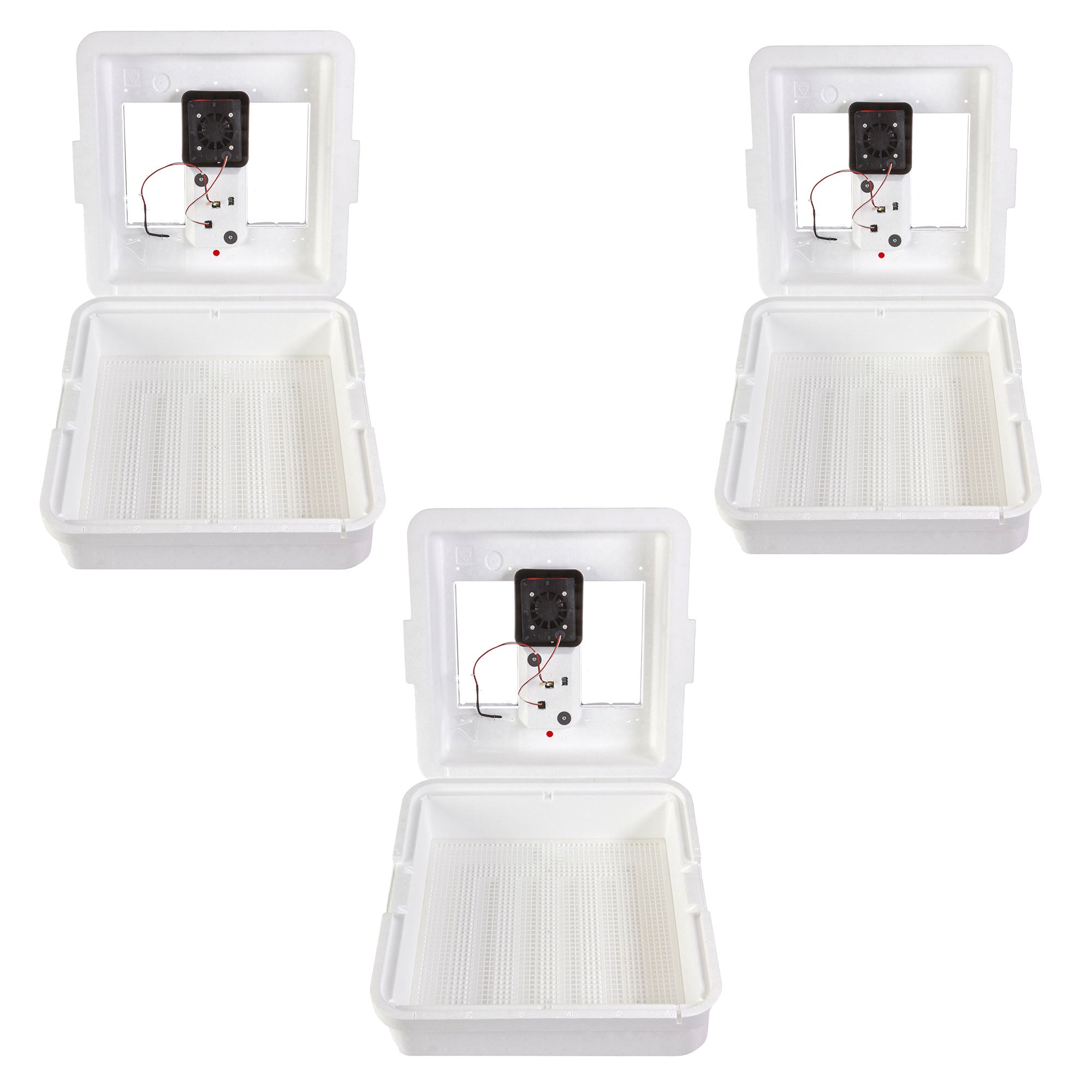 Little Giant 9300 Digital LCD Still Air Incubator for 41 Eggs, White (3 Pack) - VMInnovations