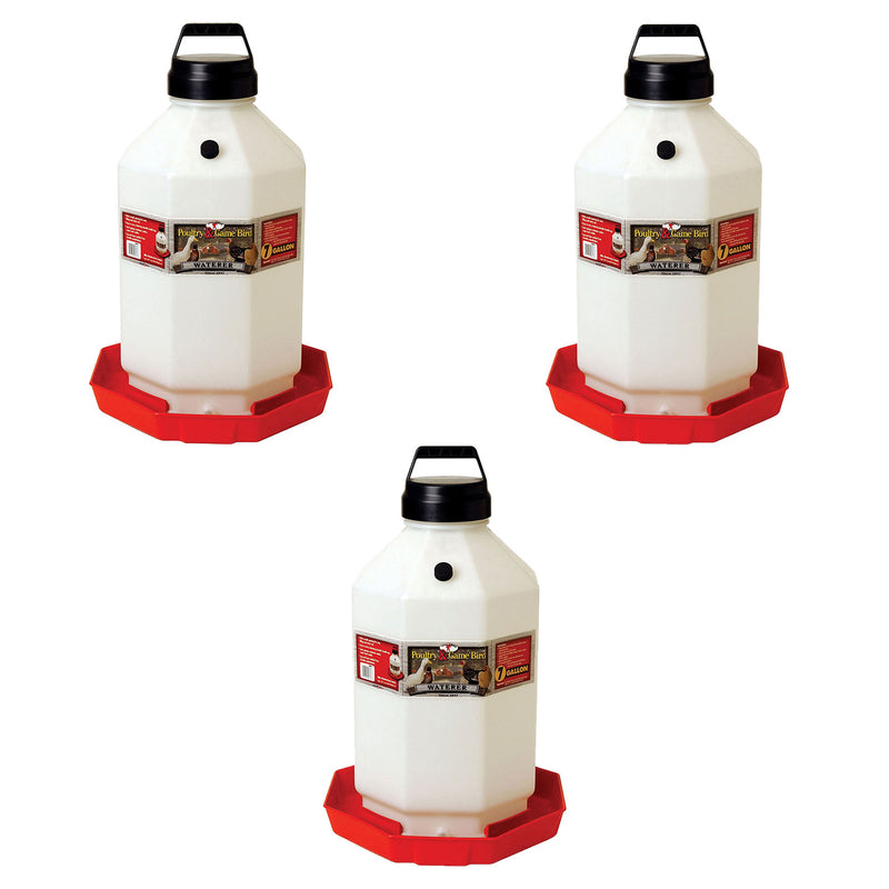 Little Giant PPF7 7 Gallon Automatic Poultry Waterer for Chickens, Red (3 Pack)