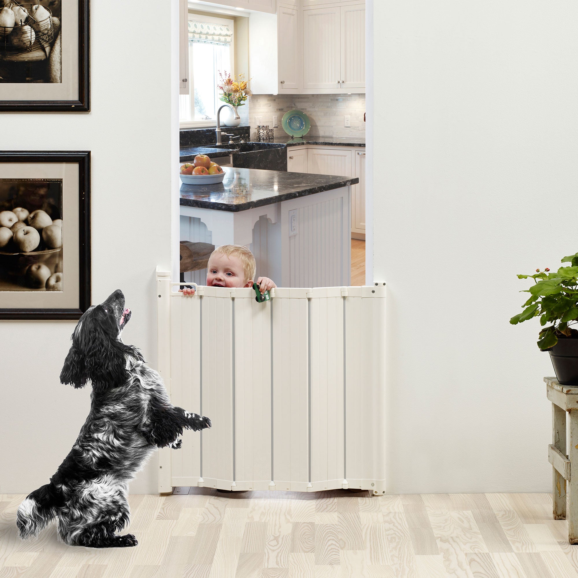 Scandinavian Pet Design Guard Me Retractable 22" to 36" Pet Safety Gate, White